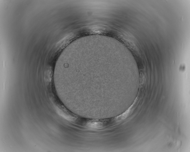 X0000094060174200711021454