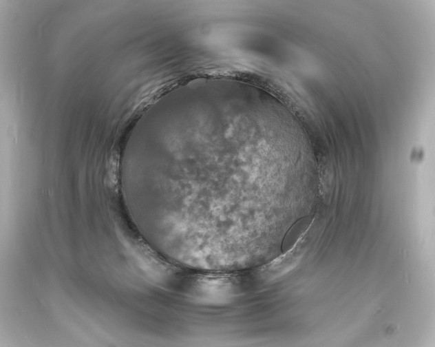 X0000094060175200711021454