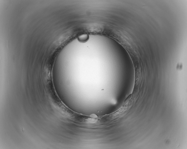 X0000094060176200711021454