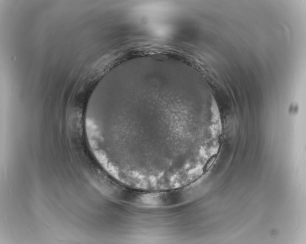 X0000094060178200711021454
