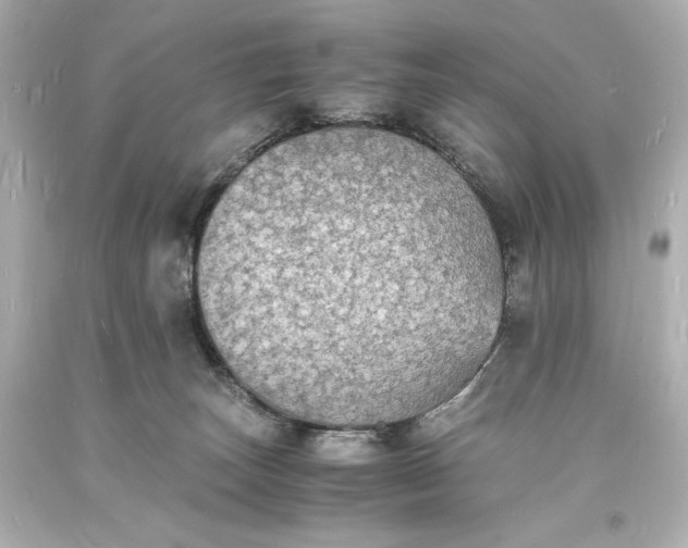 X0000094060179200711021454