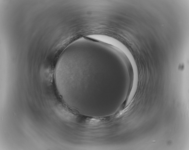 X0000094060180200711021454