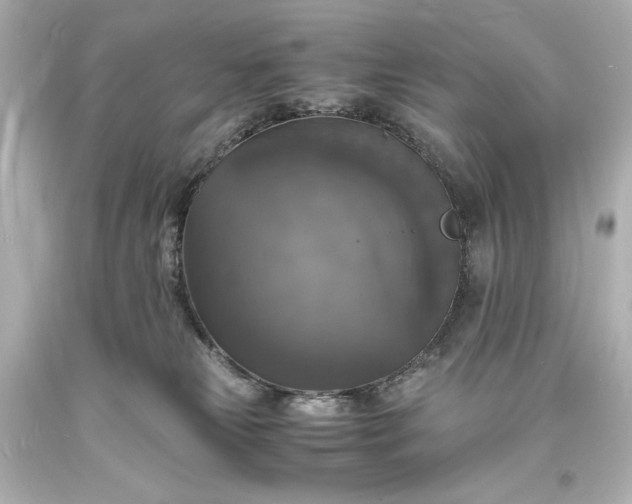 X0000094060181200711021454
