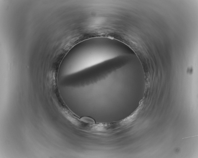 X0000094060182200711021454