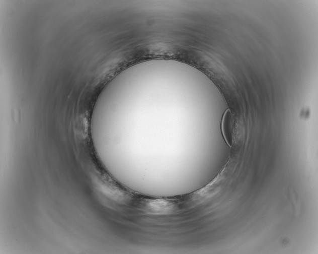 X0000094060183200711021454