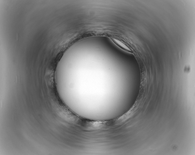 X0000094060184200711021454
