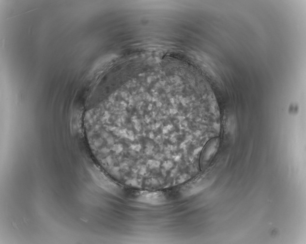 X0000094060185200711021454