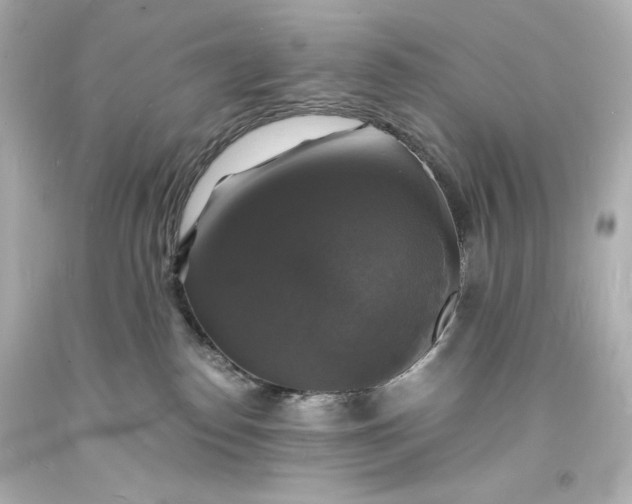 X0000094060186200711021454
