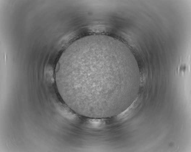 X0000094060187200711021454