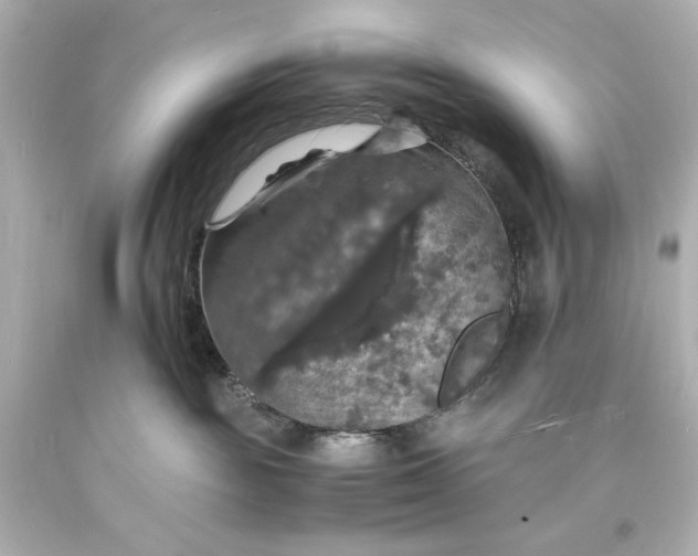 X0000094060189200711021454