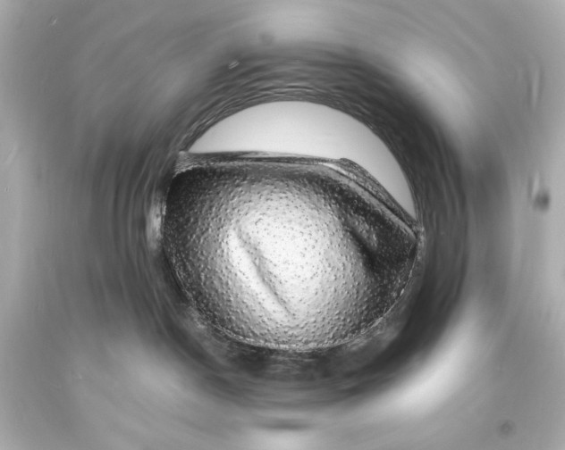 X0000094060190200711021454