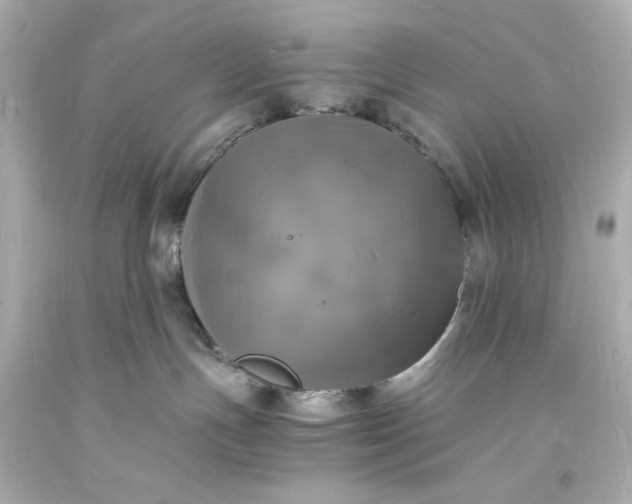 X0000094060191200711021454