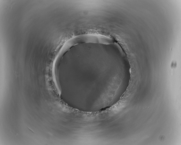 X0000094060192200711021454