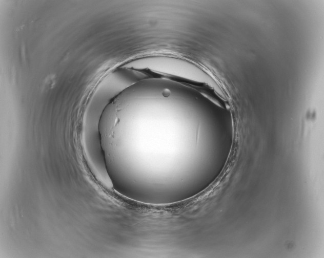 X0000094060193200711021454
