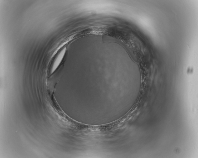 X0000094060194200711021454