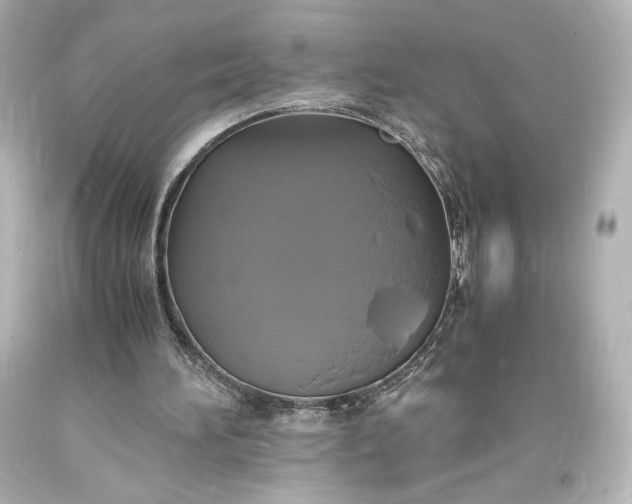 X0000094060196200711021454