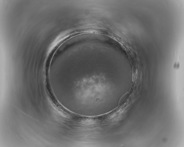 X0000094060198200711021454