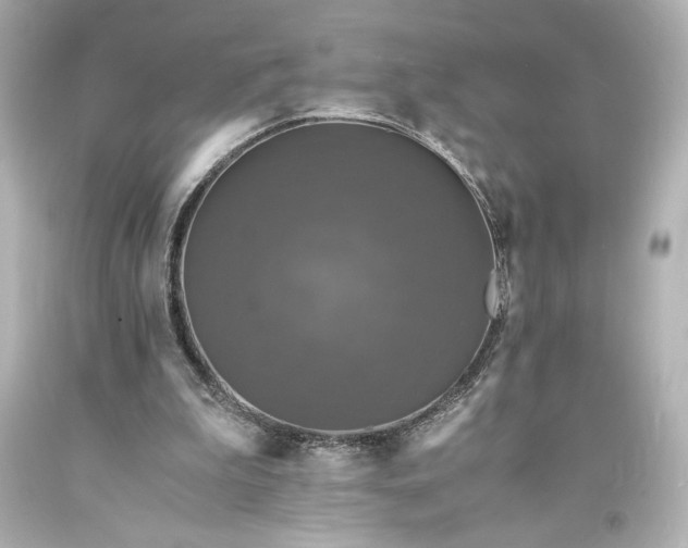 X0000094060199200711021454