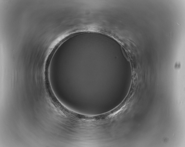 X0000094060200200711021454