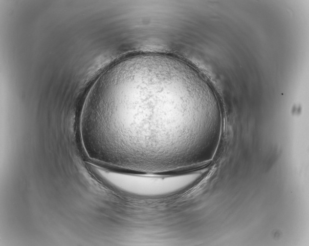X0000094060201200711021454
