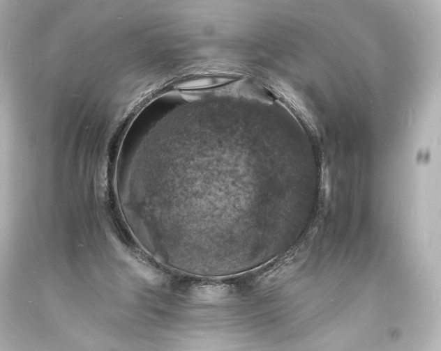 X0000094060202200711021454