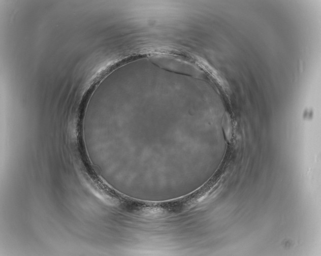 X0000094060203200711021454