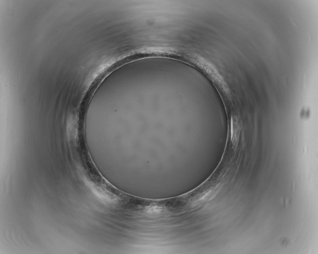 X0000094060204200711021454