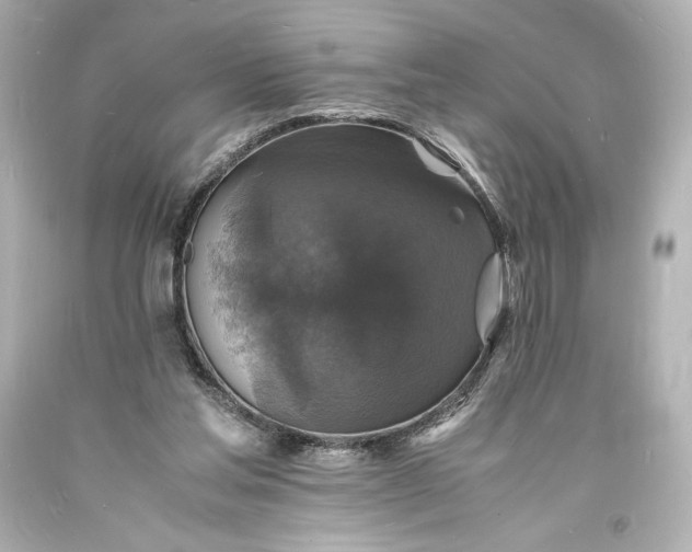 X0000094060205200711021453