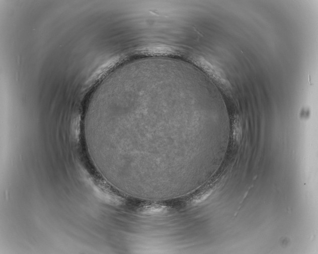 X0000094060206200711021453