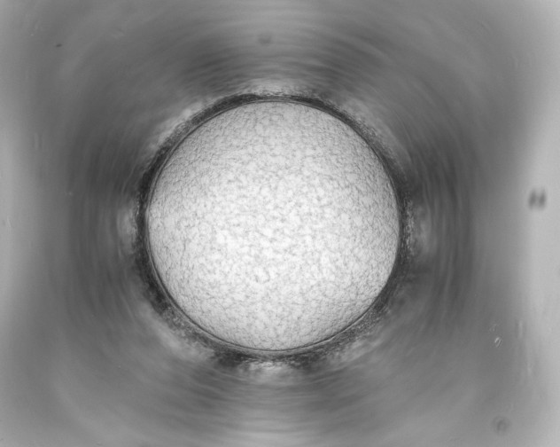 X0000094060208200711021453