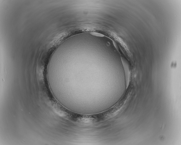X0000094060209200711021453