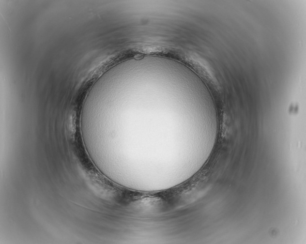 X0000094060210200711021453
