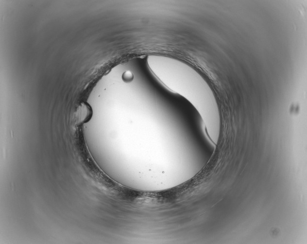 X0000094060211200711021453