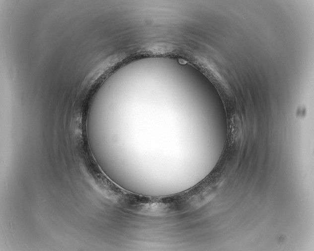 X0000094060212200711021453