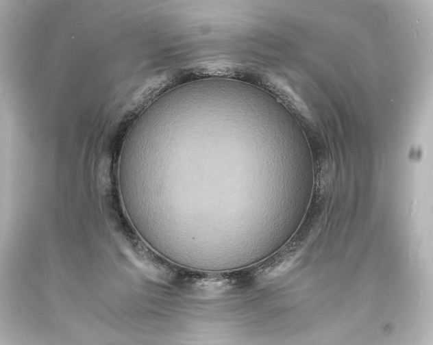 X0000094060213200711021453