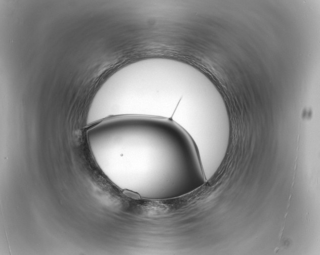 X0000094060215200711021453