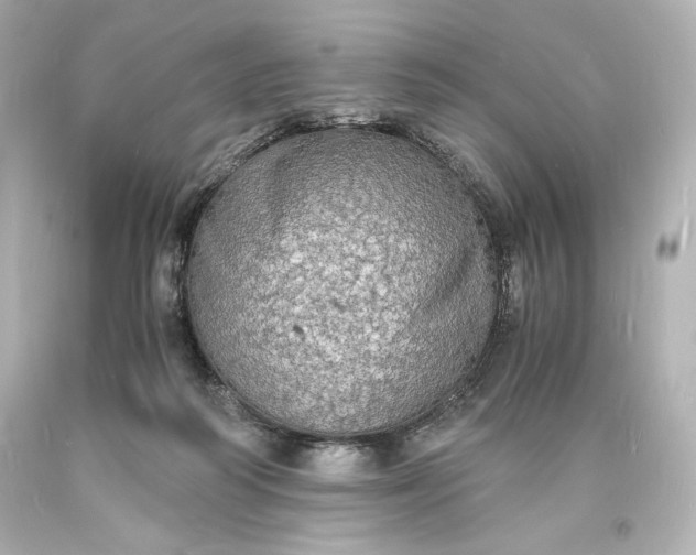 X0000094060218200711021453