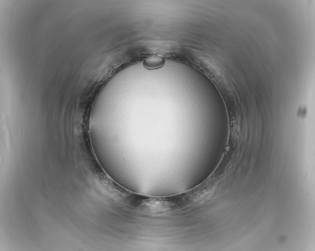 X0000094060221200711021453