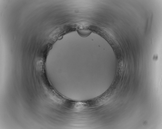X0000094060222200711021453