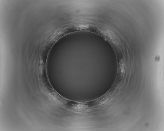 X0000094060223200711021453