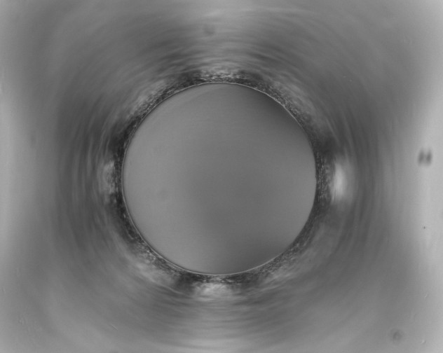 X0000094060224200711021453