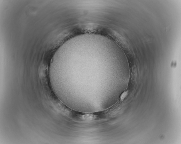 X0000094060225200711021453