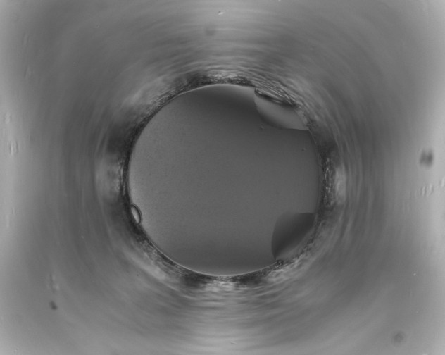 X0000094060227200711021453