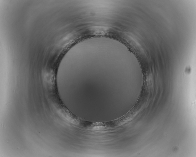 X0000094060228200711021453