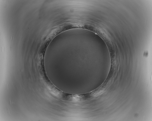 X0000094060229200711021453
