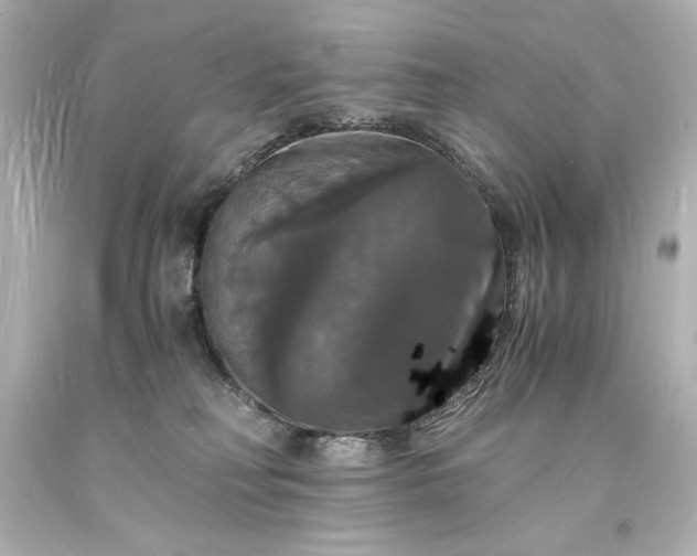 X0000094060230200711021453