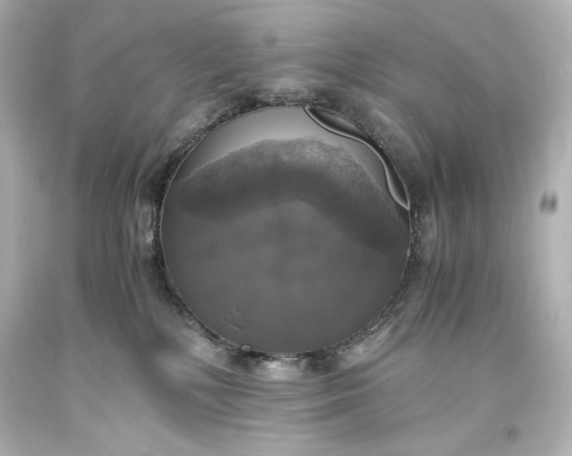 X0000094060232200711021453