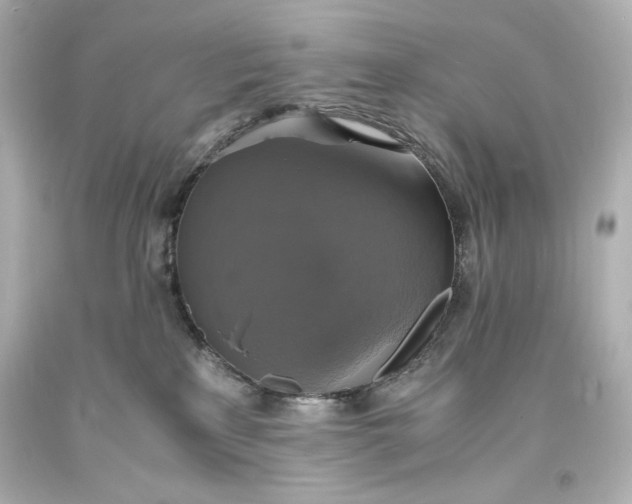 X0000094060233200711021453