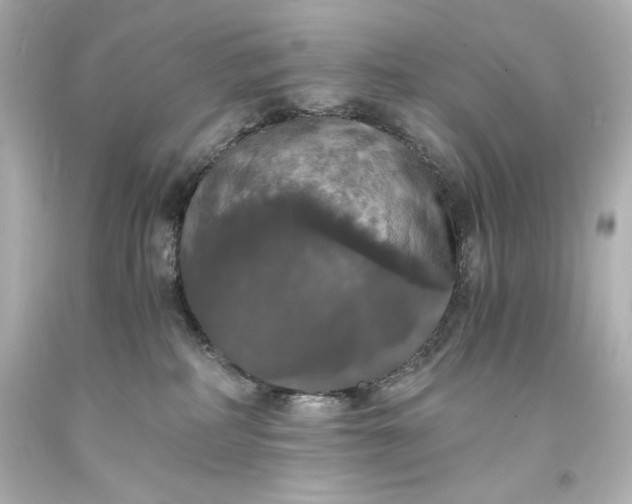 X0000094060234200711021453
