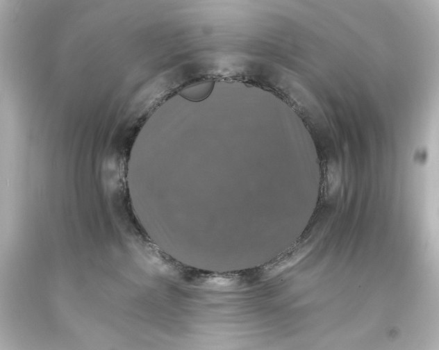 X0000094060236200711021453